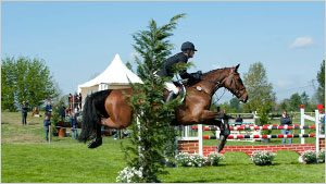 CIC** Sunday Morning Show Jumping Part 2