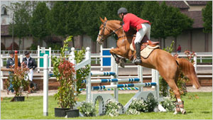 CIC*** Sunday Afternoon Show Jumping Part 1