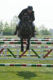 PAN_7984